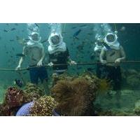 underwater observatory aquarium and scuba walking adventure from kota  ...