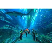 Underwater Zoo, Dubai Aquarium and Ice Rink Entrance Ticket