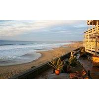 Unscripted Monterey Bay