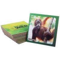 Uncle Milton Nat Geo Wild Baby Animals Memory Match Game 48 Deluxe Titles (u16450)