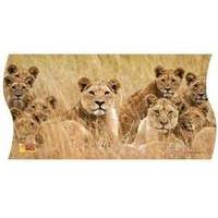 Uncle Milton National Geographic Wild Panorama 3-in-1 Puzzles 172 Pieces Pride Of Lions Edition (u16453)