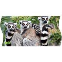 Uncle Milton National Geographic Wild Panorama 3-in-1 Puzzles 172 Pieces Ring-tailed Lemurs Edition (u16454)