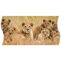 Uncle Milton National Geographic WILD Panorama 3-in-1 Puzzles Pride of Lions