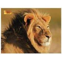 Uncle Milton National Geographic Wild Animal Jigsaw Puzzle 100 Pieces Lion Edition (u16469)