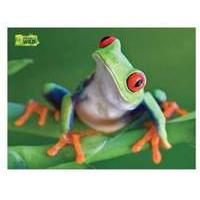 Uncle Milton National Geographic Wild Animal Jigsaw Puzzle 100 Pieces Red-eyed Tree Frog Edition (u16470)