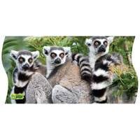 Uncle Milton National Geographic WILD Panorama 3-in-1 Puzzles Ring-tailed Lemurs
