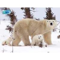 Uncle Milton National Geographic WILD Animal Jigsaw Puzzle Polar Bear