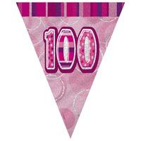 Unique Party Pink Glitz Pennant Bunting - 100