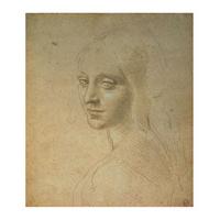Untitled - Young Woman By Leonardo da Vinci