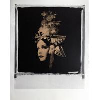 Untitled By Andrew Millar