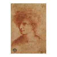 Untitled - Young Man By Leonardo da Vinci