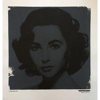 untitled grey liz taylor by steve smythe