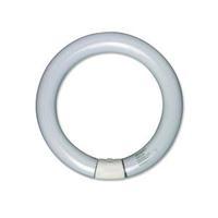 unilux replacement circular fluorescent tube for mini magnifying lamp