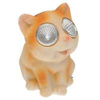 Unbranded Big Eyes Cat 73