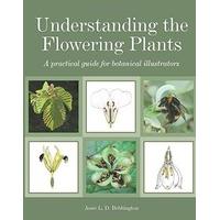 Understanding the Flowering Plants: A Practical Guide for Botanical Illustrators