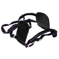 unknown pleasure harness bridle