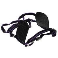 unknown pleasure harness bridle