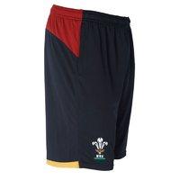 Under Armour Wales Rugby WRU 9IN Mesh Shorts 15/16