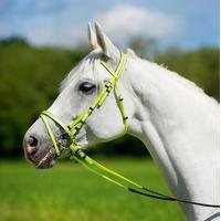 Unknown Synthetic Bridle