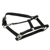 unknown breakaway headcollar