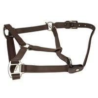 unknown breakaway headcollar