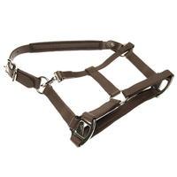 Unknown Breakaway Headcollar