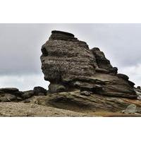 Up in the Sky 2 Hours from Bucharest - Hiking in Carpathian Mountains in a 1 Day Private Tour