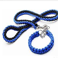 Upgraded Double Color Collar Eight Strand Rope P Chain Pet Traction Rope Big Dog Chain Dog Rope
