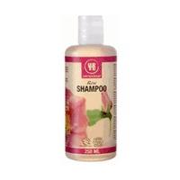 Urtekram Rose Shampoo (250 ml)