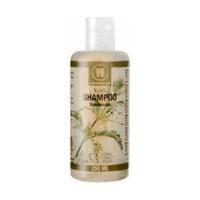 Urtekram Nettle Shampoo (250ml)