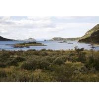 Ushuaia Shore Excursion: Private Tour of Tierra del Fuego National Park