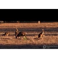 USSELTON GUEST HOUSE