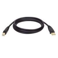 Usb 2.0 A/b Gold Device Cable - 6 Ft.