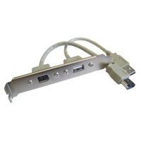 USB 2.0 6-Pin Firewire Faceplate