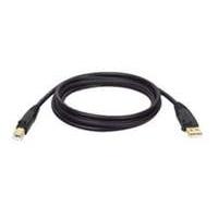 Usb 2.0 A/b Gold Device Cable - 10 Ft.