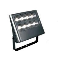 UT/NEGARA Exterior LED Graphite Wall/Ground Floodlight