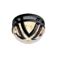 utdelta3321 exterior 1 lt graphite amp glass ceiling light