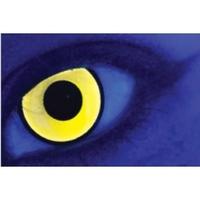 UV Mal Chick Yellow 3 Month Coloured Contact Lenses (MesmerEyez MesmerGlow)