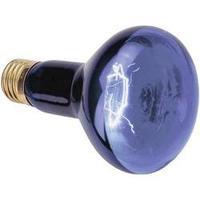 UV light bulb E27 Omnilux 89510005 75 W