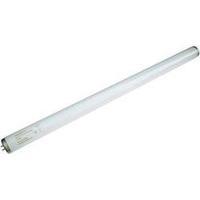 UV fluorescent tube Synergetic 18 W 600mm Base G13 1 pc(s)