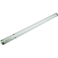 uv fluorescent tube plus lamp 36 w gerade 600mm base g13 1 pcs