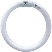 UV ring light Swissinno UVA T8 Suitable for Swissinno 1 pc(s)