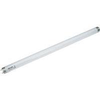 UV fluorescent tube Plus Lamp 15 W gerade 450mm T8 Base G13 1 pc(s)