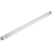 UV fluorescent tube Synergetic 5 W gerade 450mm T8 Base G13 1 pc(s)