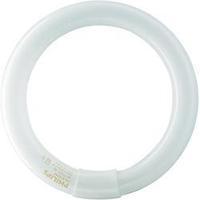 uv ring light philips 22 w rund base g10q 1 pcs