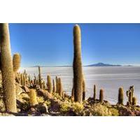 Uyuni Salt Flats Day Trip by Air from La Paz