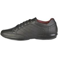 V 1969 RAOUL_NERO_VIPERA men\'s Shoes (Trainers) in black