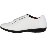 V 1969 RAOUL_BIANCA_VIPERA men\'s Shoes (Trainers) in white