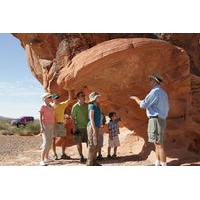 Valley of Fire Luxury Tour Trekker Excursion