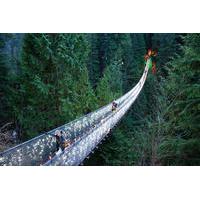 Vancouver City and Capilano Suspension Bridge Canyon Lights Tour